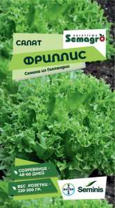 Салат Фриллис  купить