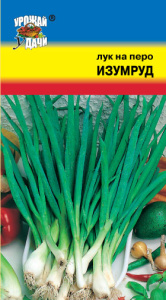 Лук Изумруд батун купить