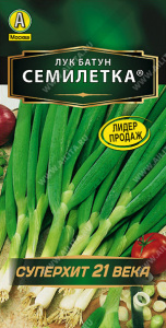 Лук Семилетка, батун купить