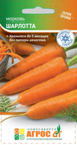 Морковь Шарлотта купить
