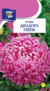 Астра Диадора Пинк пионовидная купить