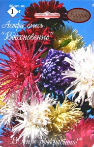 Астра смесь Вдохновение/1шт купить