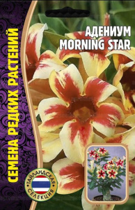 Адениум Morning Star   купить