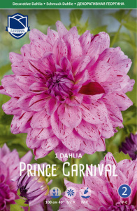 Георгина декоративная Prince Carnival /1шт купить