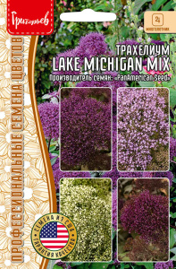 Трахелиум Lake Michigan Mix купить