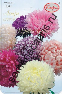 Астра смесь Превосходная/1шт купить