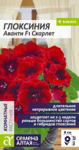 Глоксиния Аванти F1 Скарлет купить