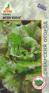 Салат Мэй Кинг кочанный купить