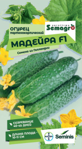 Огурец Мадейра F1  купить