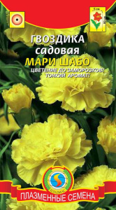 Гвоздика Мари Шабо садовая купить
