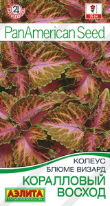 Колеус блюме Коралловый восход купить