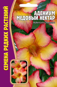 Адениум Медовый Нектар купить