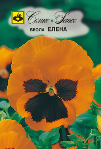 Виола Елена  купить