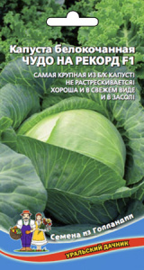 Капуста Чудо на рекорд F1 купить