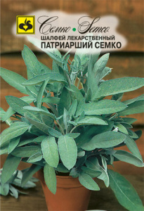 Шалфей Патриарший Семко  купить