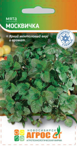 Мята Москвичка купить