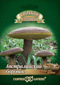 Боровик австралийский гриб на зерновом субстрате  купить