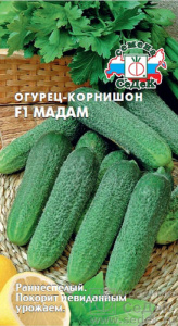 Огурец Мадам F1 ранний купить