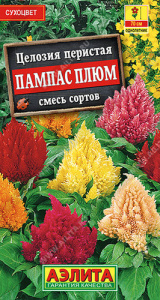 Целозия перистая Пампас Плюм, смесь  купить