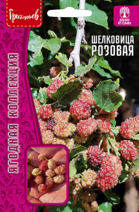 Шелковица (тутовник) Розовая купить