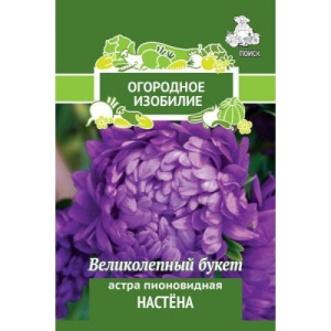 Астра Настена (ОИ) пионовидная купить