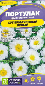 Портулак Супермахровый Белый купить