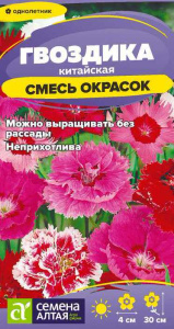 Гвоздика Китайская Смесь окрасок  купить