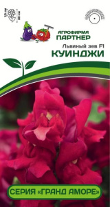 Львиный Зев Гранд Аморе F1 Куинджи  купить