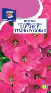 Петуния Карлик F1 тёмно-розовая мелкоцветковая купить