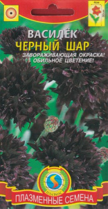 Василек Черный Шар купить