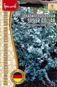 Эвкалипт Сильвер Доллар (Silver Dollar) пепельный купить