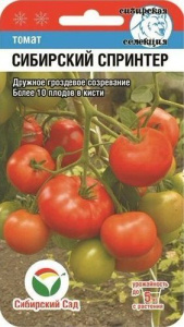 Томат Сибирский Спринтер купить