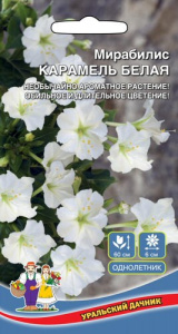 Мирабилис Карамель Белая купить