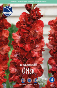 Гладиолус гофрированный Omsk /10шт купить