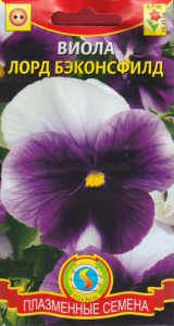 Виола Лорд Бэконсфилд  купить