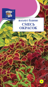 Колеус Блюме Смесь  окрасок  купить