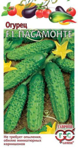 Огурец Пасамонте F1 корнишон купить