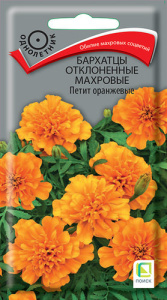 Бархатцы Петит оранжевые откл. махр. купить