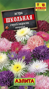 Астра Школьная, смесь  купить