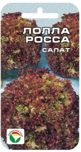 Салат Лолла Росса  купить