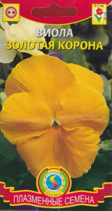 Виола Золотая корона  купить