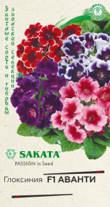 Глоксиния Аванти F1 Смесь  купить