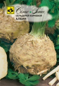 Сельдерей Албин корневой купить