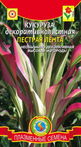 Кукуруза декоративнолистная Пестрая лента  купить