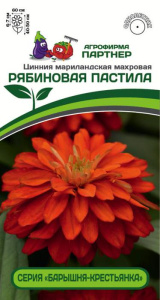 Цинния Рябиновая Пастила купить