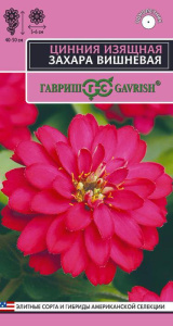 Цинния Захара вишневая купить