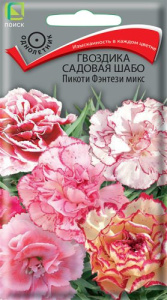 Гвоздика Шабо Пикоти Фэнтези микс  купить