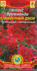 Флокс друммонда Клюквенный джем  купить