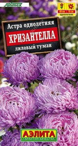 Астра Хризантелла лиловый туман Satimex купить