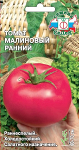 Томат Малиновый ранний купить